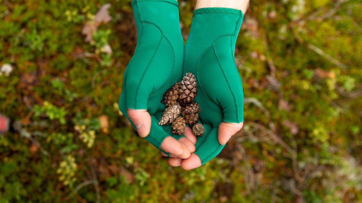 Gloves
